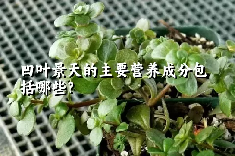 凹叶景天的主要营养成分包括哪些？