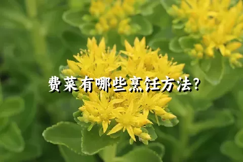 费菜有哪些烹饪方法？