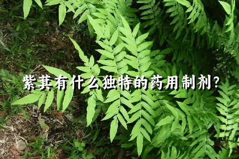 紫萁有什么独特的药用制剂？