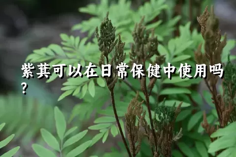 紫萁可以在日常保健中使用吗？