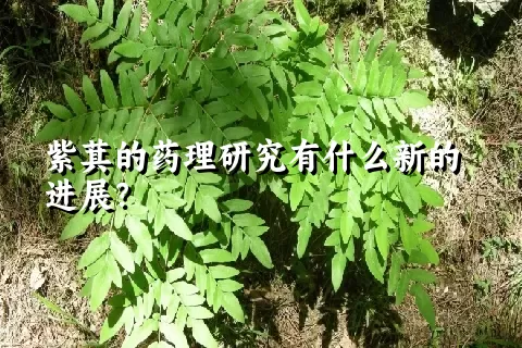 紫萁的药理研究有什么新的进展？