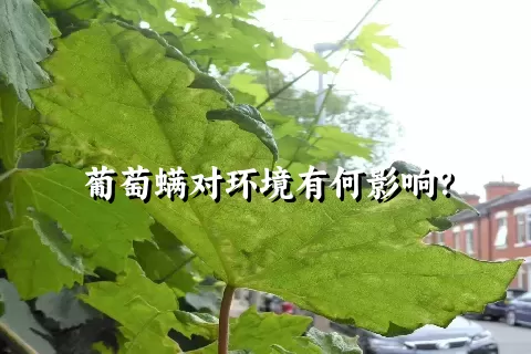 葡萄螨对环境有何影响？