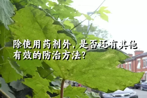 除使用药剂外，是否还有其他有效的防治方法？