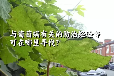 与葡萄螨有关的防治经验等可在哪里寻找？