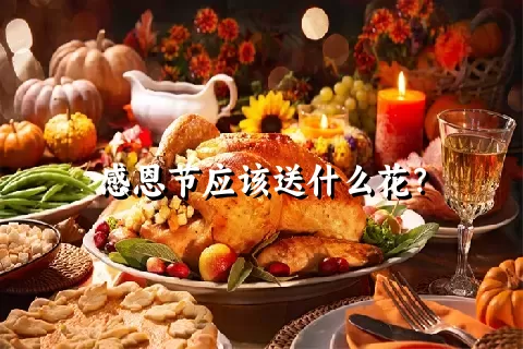 感恩节应该送什么花？