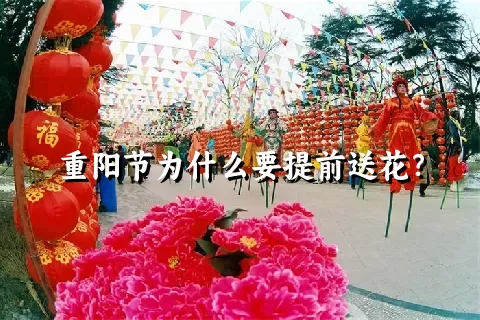 重阳节为什么要提前送花？