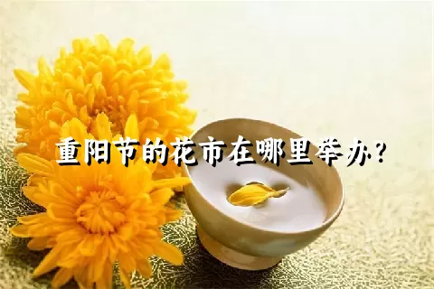 重阳节的花市在哪里举办？