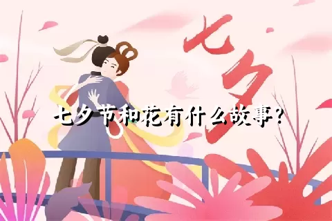 七夕节和花有什么故事？