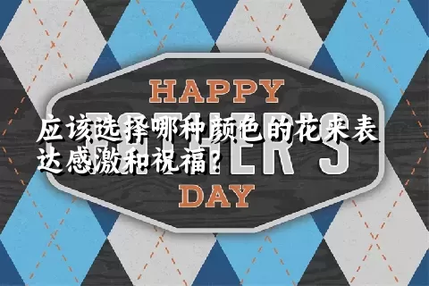 应该选择哪种颜色的花来表达感激和祝福？