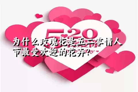 为什么玫瑰花是五二零情人节最受欢迎的花卉？