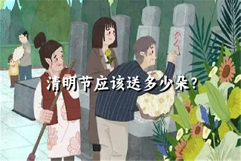 清明节应该送多少朵？