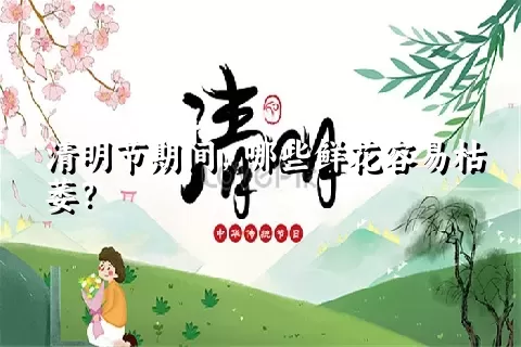 清明节期间，哪些鲜花容易枯萎？