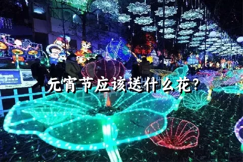 元宵节应该送什么花？