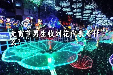 元宵节男生收到花代表着什么？