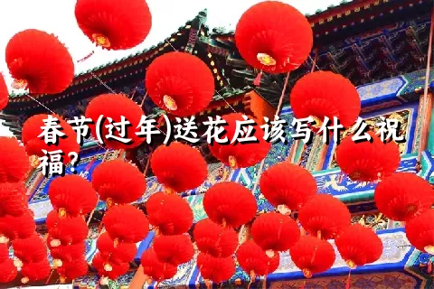 春节(过年)送花应该写什么祝福？