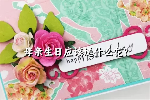 母亲生日应该送什么花？