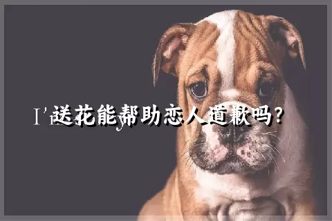 送花能帮助恋人道歉吗？