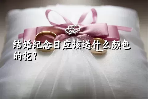 结婚纪念日应该送什么颜色的花？