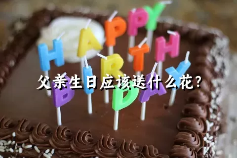 父亲生日应该送什么花？