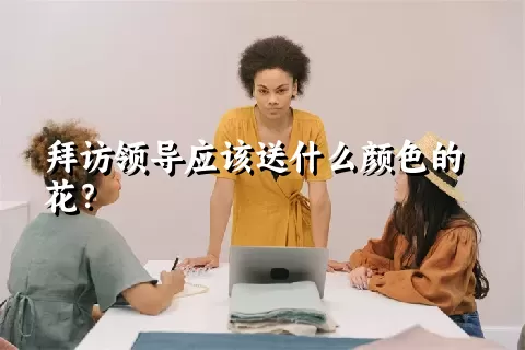 拜访领导应该送什么颜色的花？