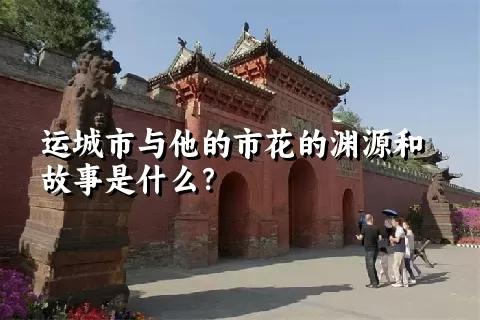 运城市与他的市花的渊源和故事是什么？