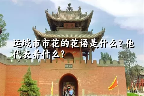 运城市市花的花语是什么？他代表着什么？