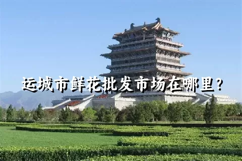 运城市鲜花批发市场在哪里？