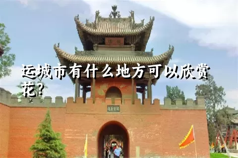 运城市有什么地方可以欣赏花？