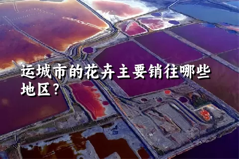 运城市的花卉主要销往哪些地区？