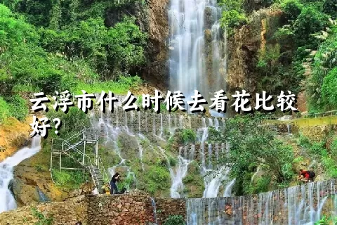 云浮市什么时候去看花比较好？