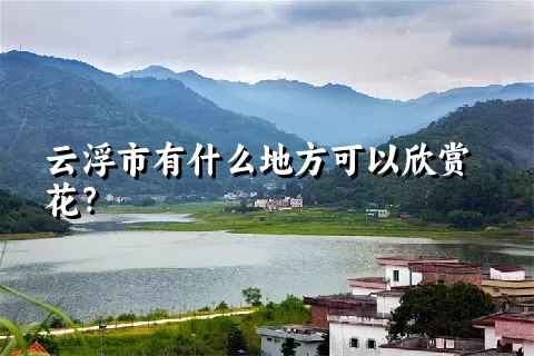 云浮市有什么地方可以欣赏花？