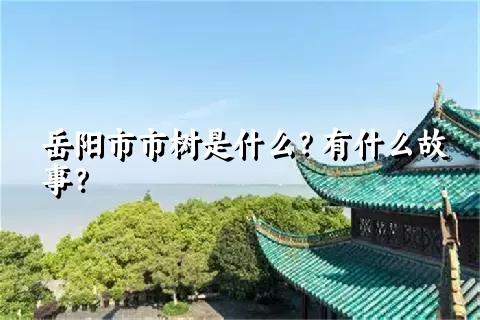 岳阳市市树是什么？有什么故事？