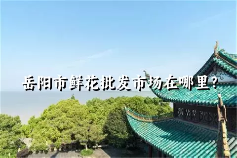 岳阳市鲜花批发市场在哪里？