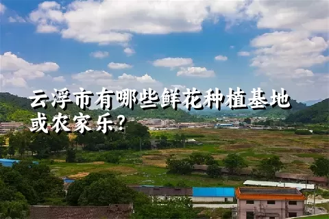 云浮市有哪些鲜花种植基地或农家乐？