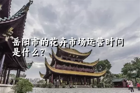 岳阳市的花卉市场运营时间是什么？