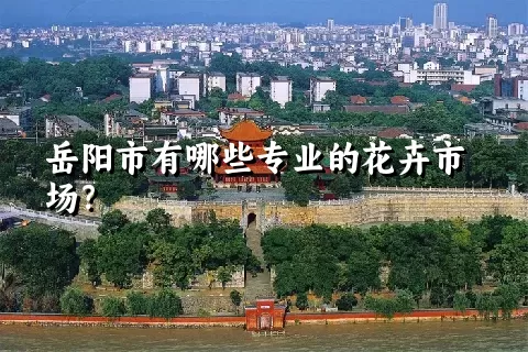 岳阳市有哪些专业的花卉市场？