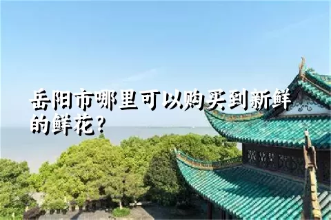 岳阳市哪里可以购买到新鲜的鲜花？