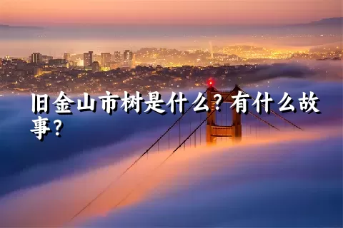 旧金山市树是什么？有什么故事？