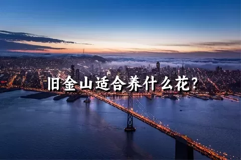 旧金山适合养什么花？