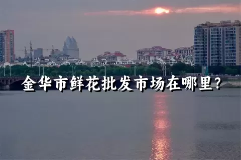 金华市鲜花批发市场在哪里？