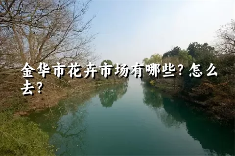 金华市花卉市场有哪些？怎么去？