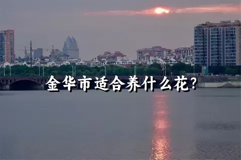 金华市适合养什么花？