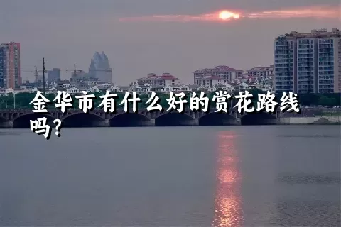 金华市有什么好的赏花路线吗？