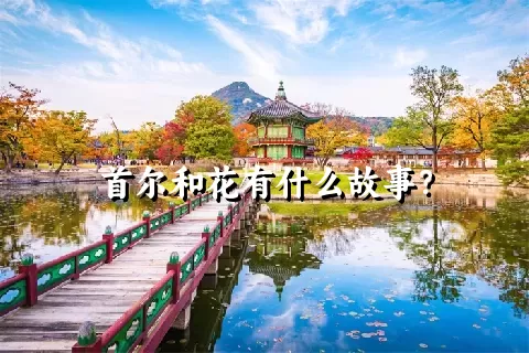 首尔和花有什么故事？