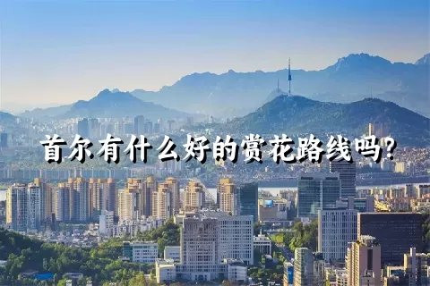 首尔有什么好的赏花路线吗？