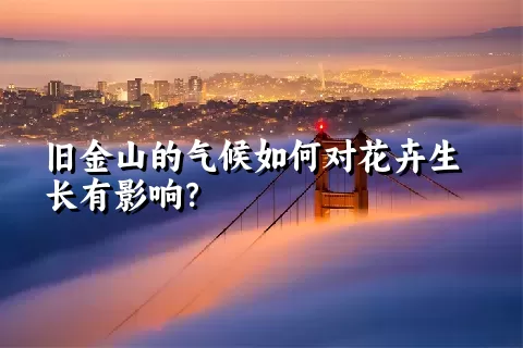 旧金山的气候如何对花卉生长有影响？