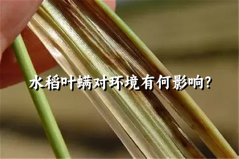 水稻叶螨对环境有何影响？