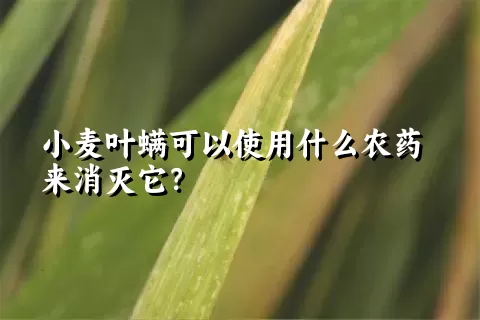 小麦叶螨可以使用什么农药来消灭它？