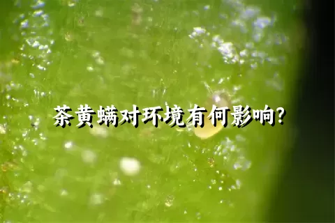 茶黄螨对环境有何影响？