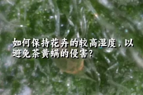 如何保持花卉的较高湿度，以避免茶黄螨的侵害？